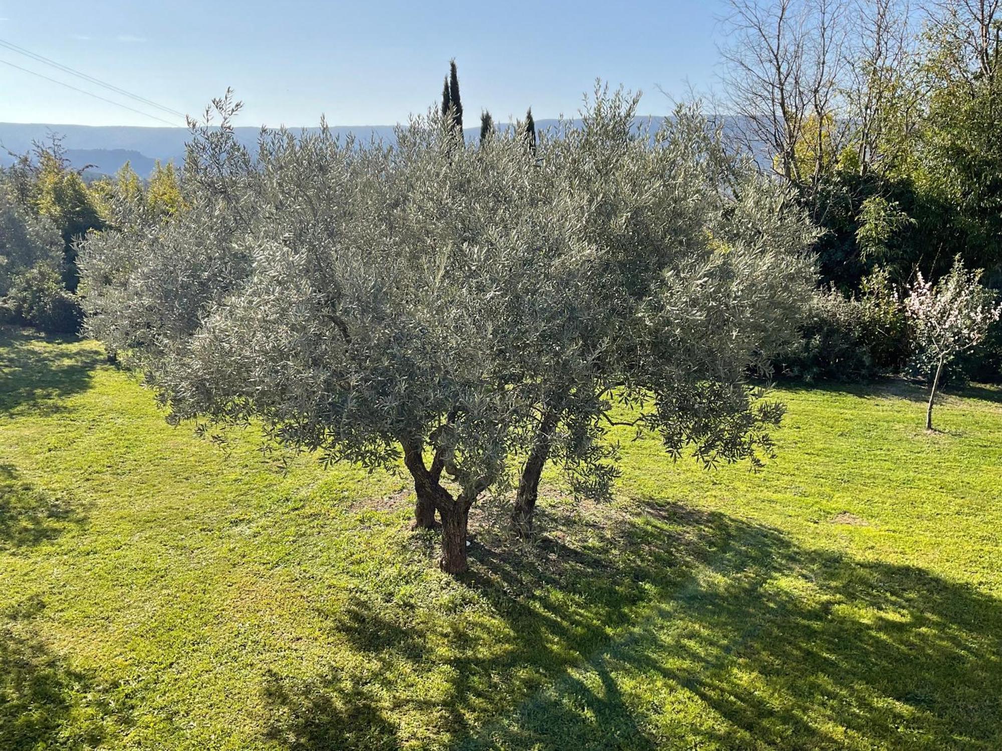 Bed and Breakfast Provence Km28 Горд Экстерьер фото